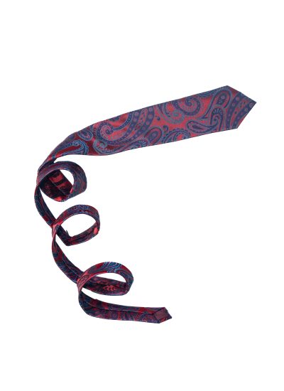 WINE BIG PAISLEY TIE